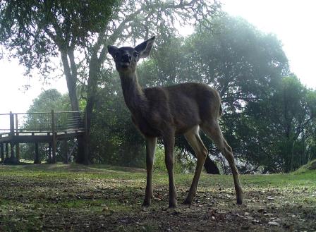 Doe 03